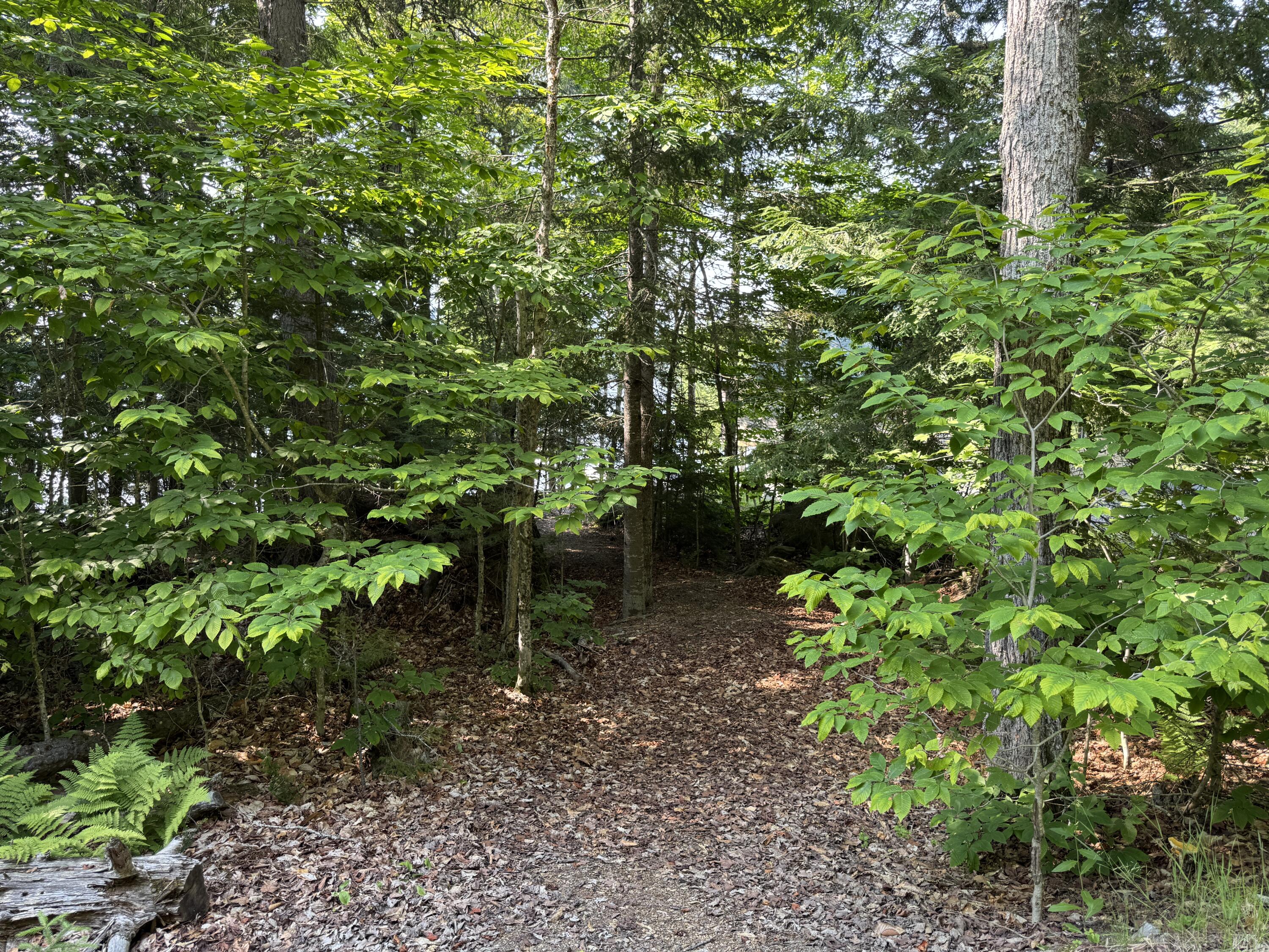 9 Alice Drive Greenville ME 04441