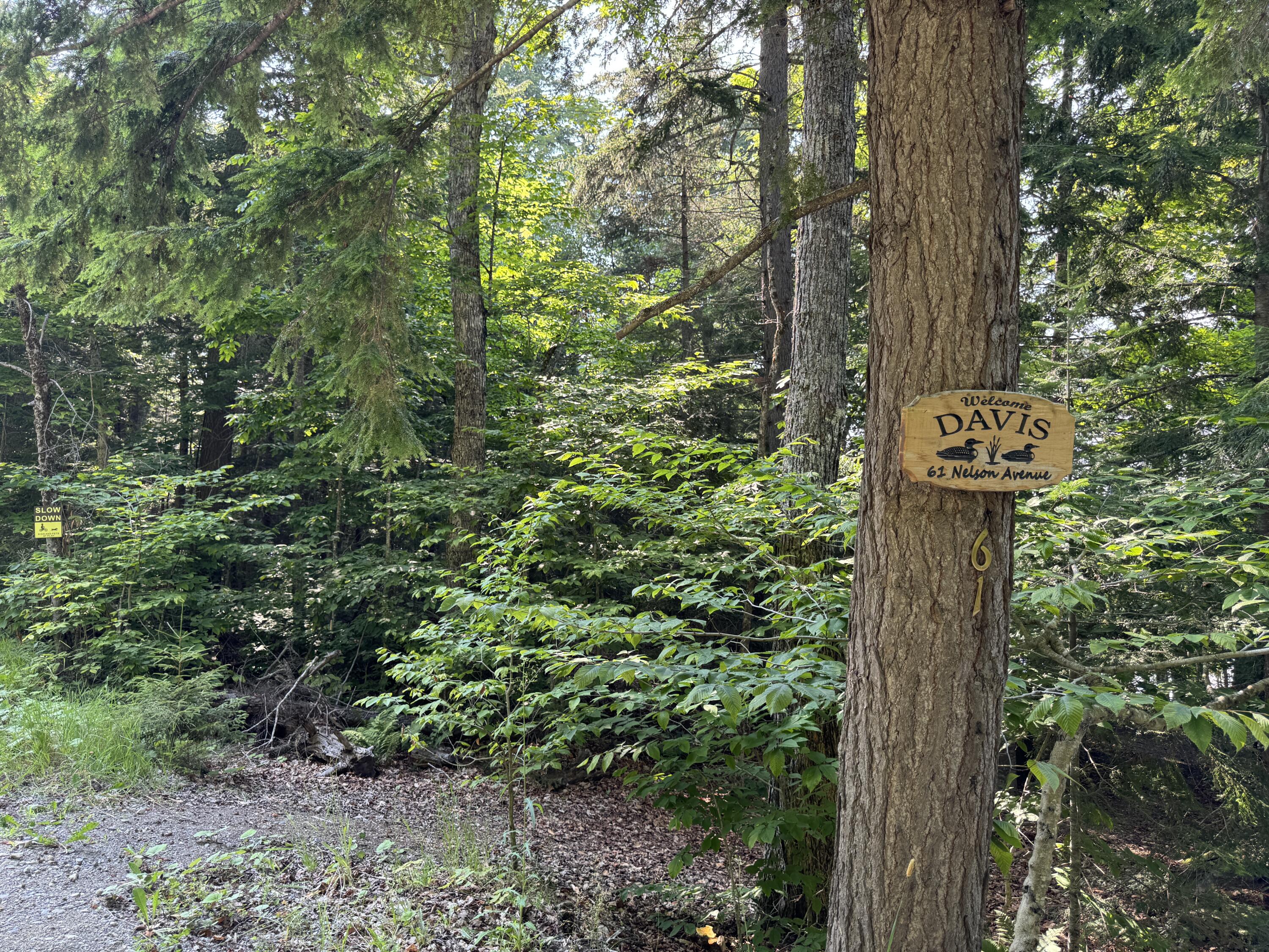 9 Alice Drive Greenville ME 04441