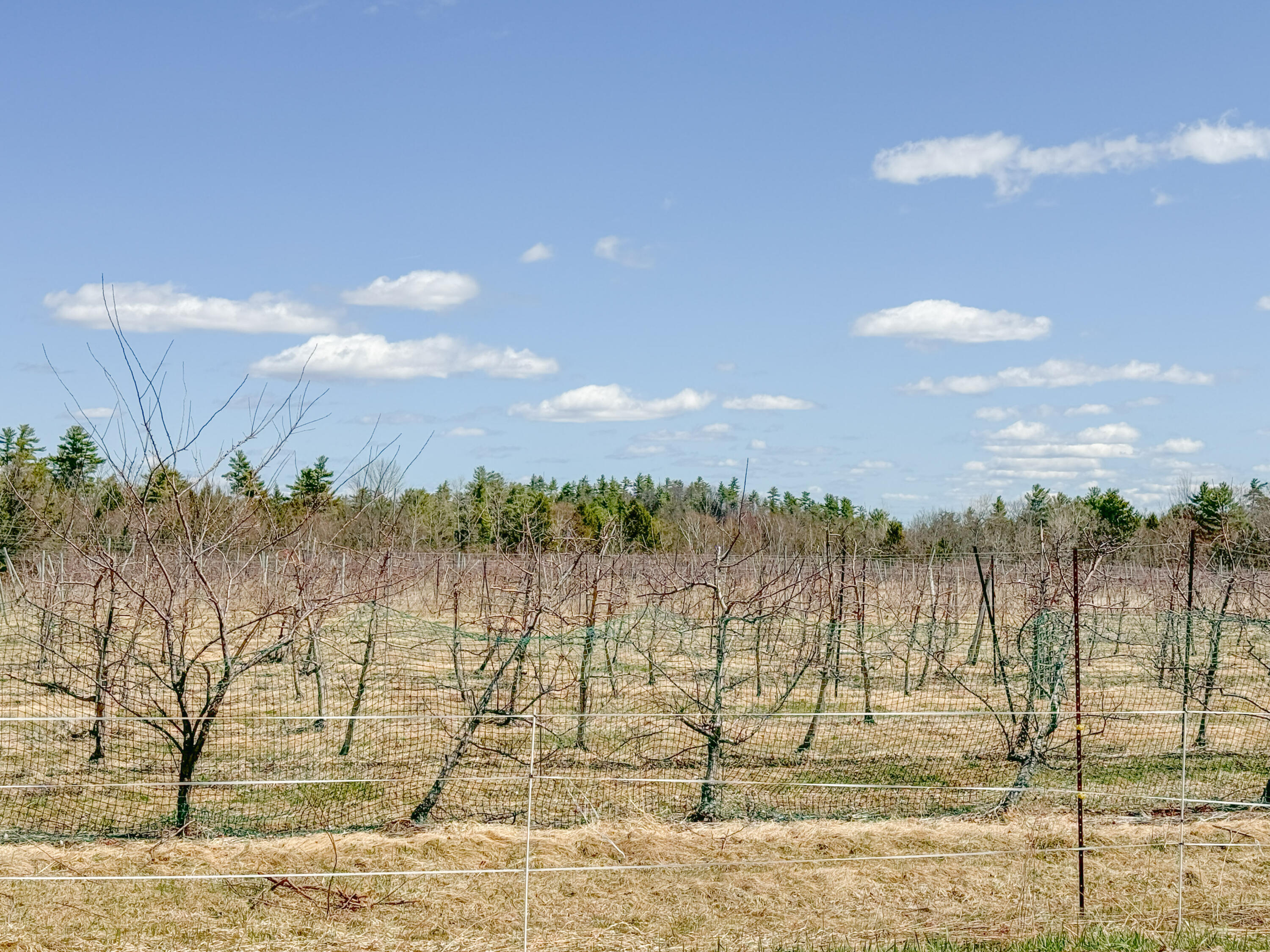 1000 Perkins Ridge Road Auburn ME 04210