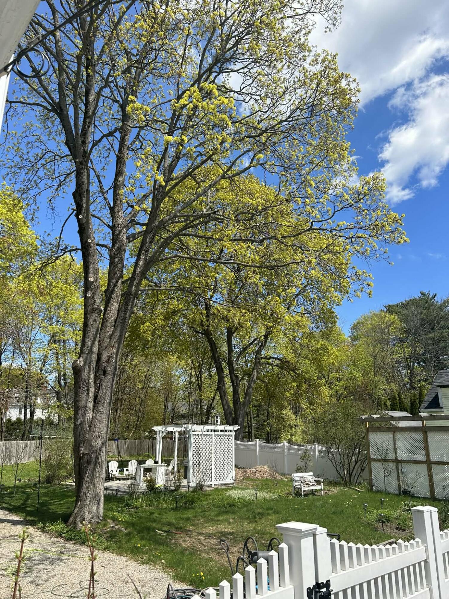 431 Hammond Street Bangor ME 04401