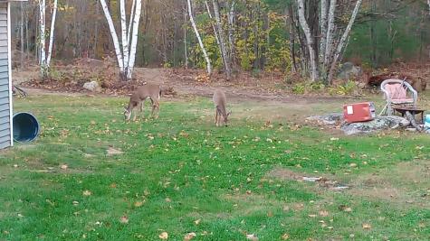 35 Pierce Road Oxford ME 04270