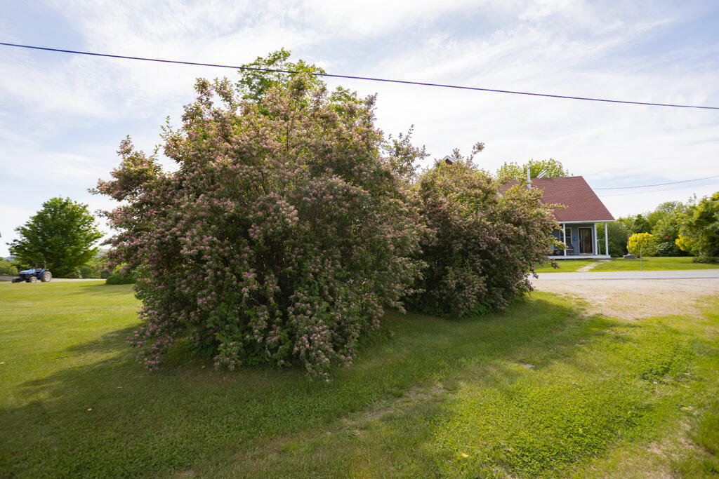 59 Chandler Road New Sharon ME 04955