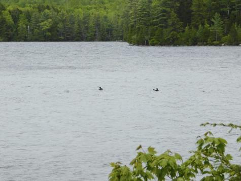 38 S Shore Road Lake View Plt ME 04463