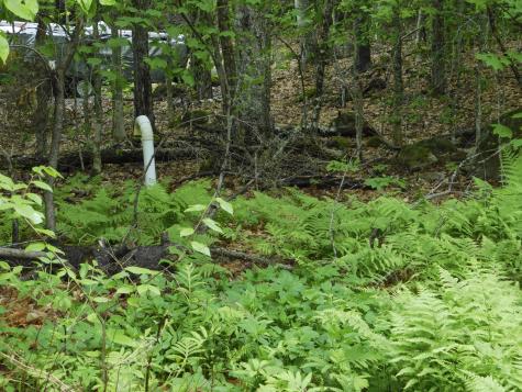 38 S Shore Road Lake View Plt ME 04463