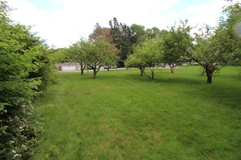 11 Tozier Street Belfast ME 04915