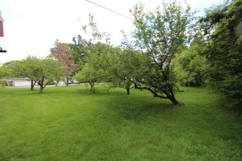 11 Tozier Street Belfast ME 04915