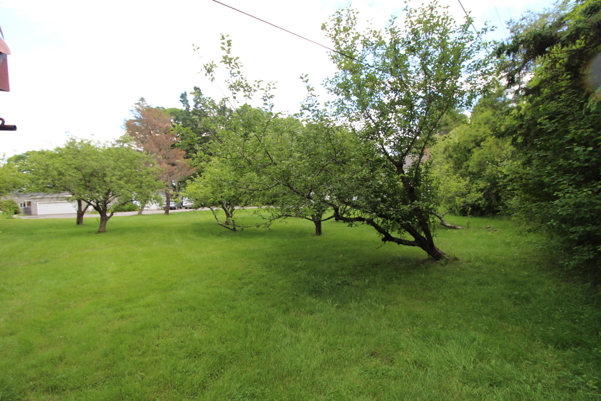 11 Tozier Street Belfast ME 04915