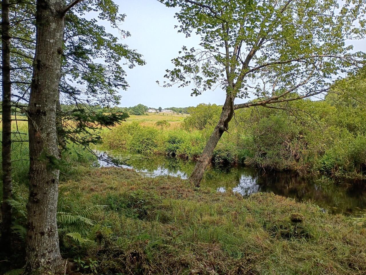 146 Lower Round Pond Road Bristol ME 04539