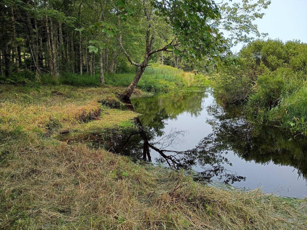 146 Lower Round Pond Road Bristol ME 04539