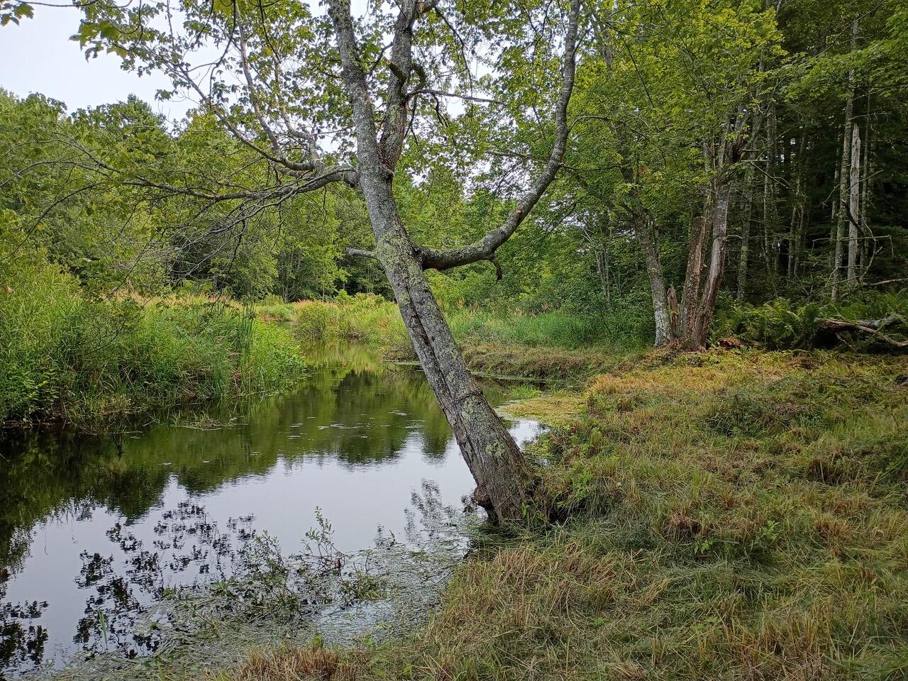 146 Lower Round Pond Road Bristol ME 04539