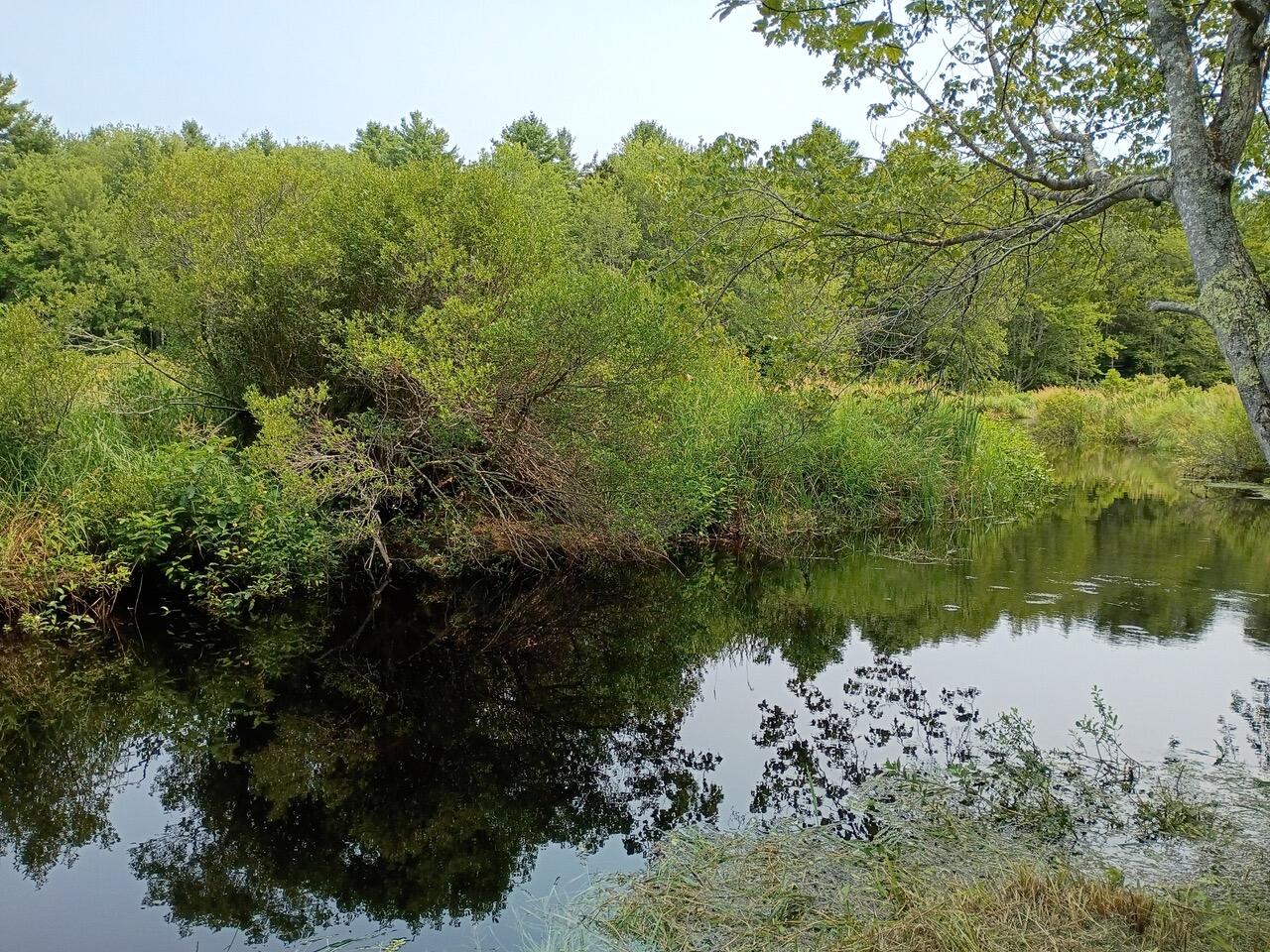 146 Lower Round Pond Road Bristol ME 04539