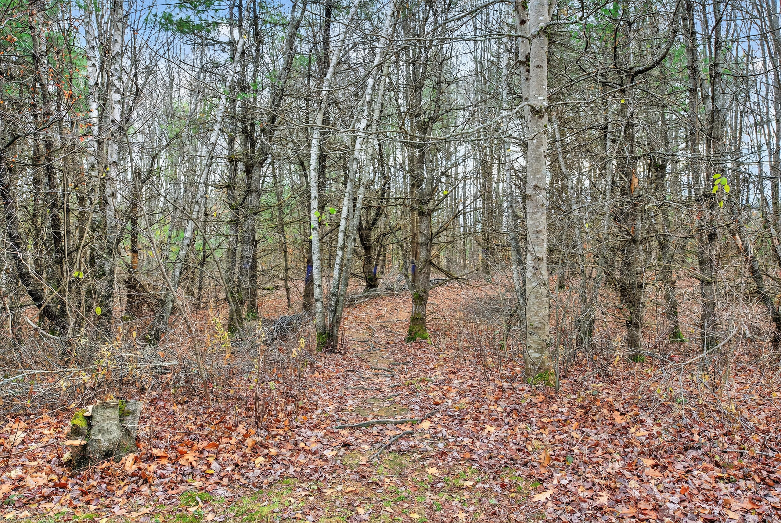 130 Mckenney Road Saco ME 04072