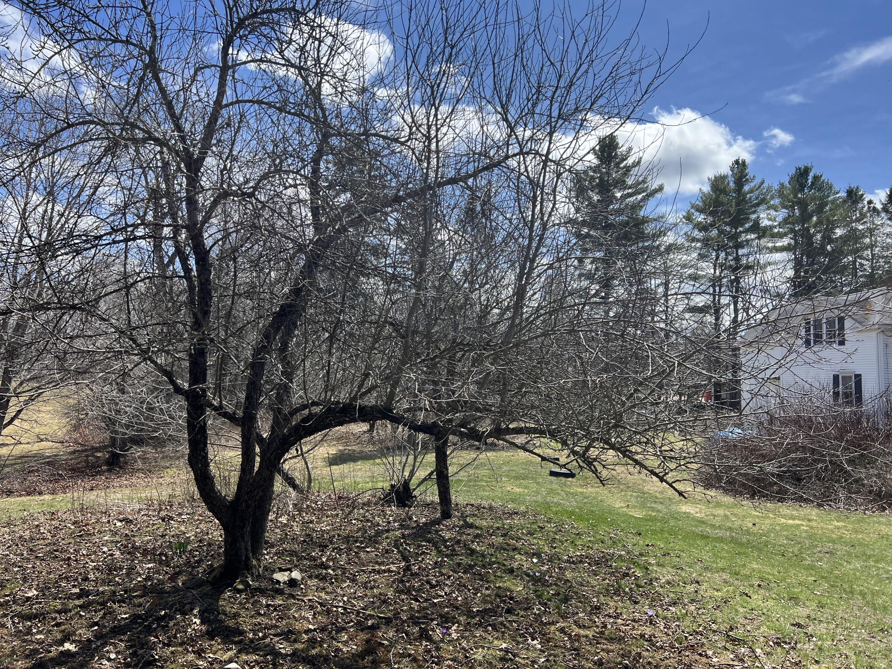 87 Monroe Highway Brooks ME 04921