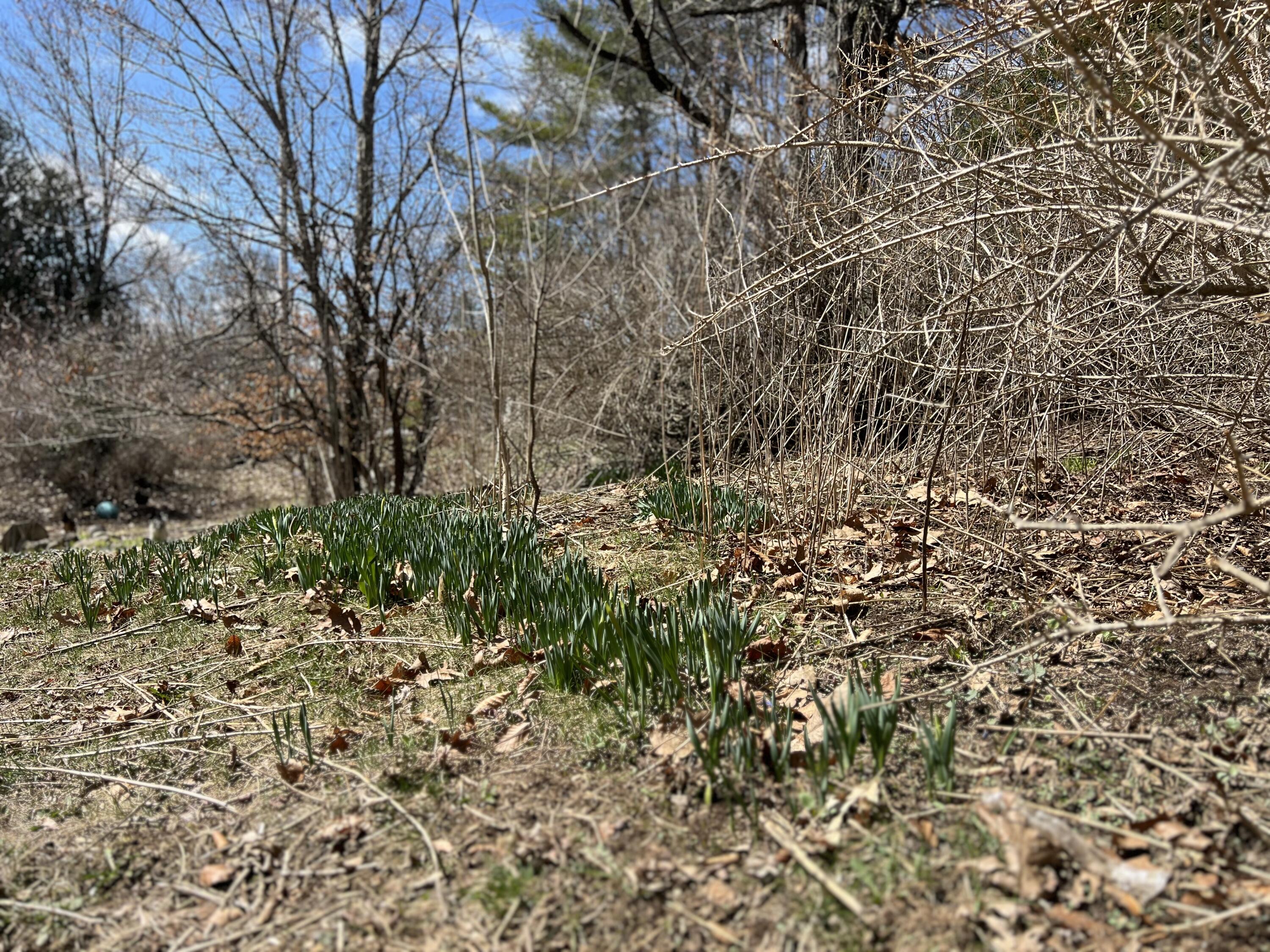 87 Monroe Highway Brooks ME 04921