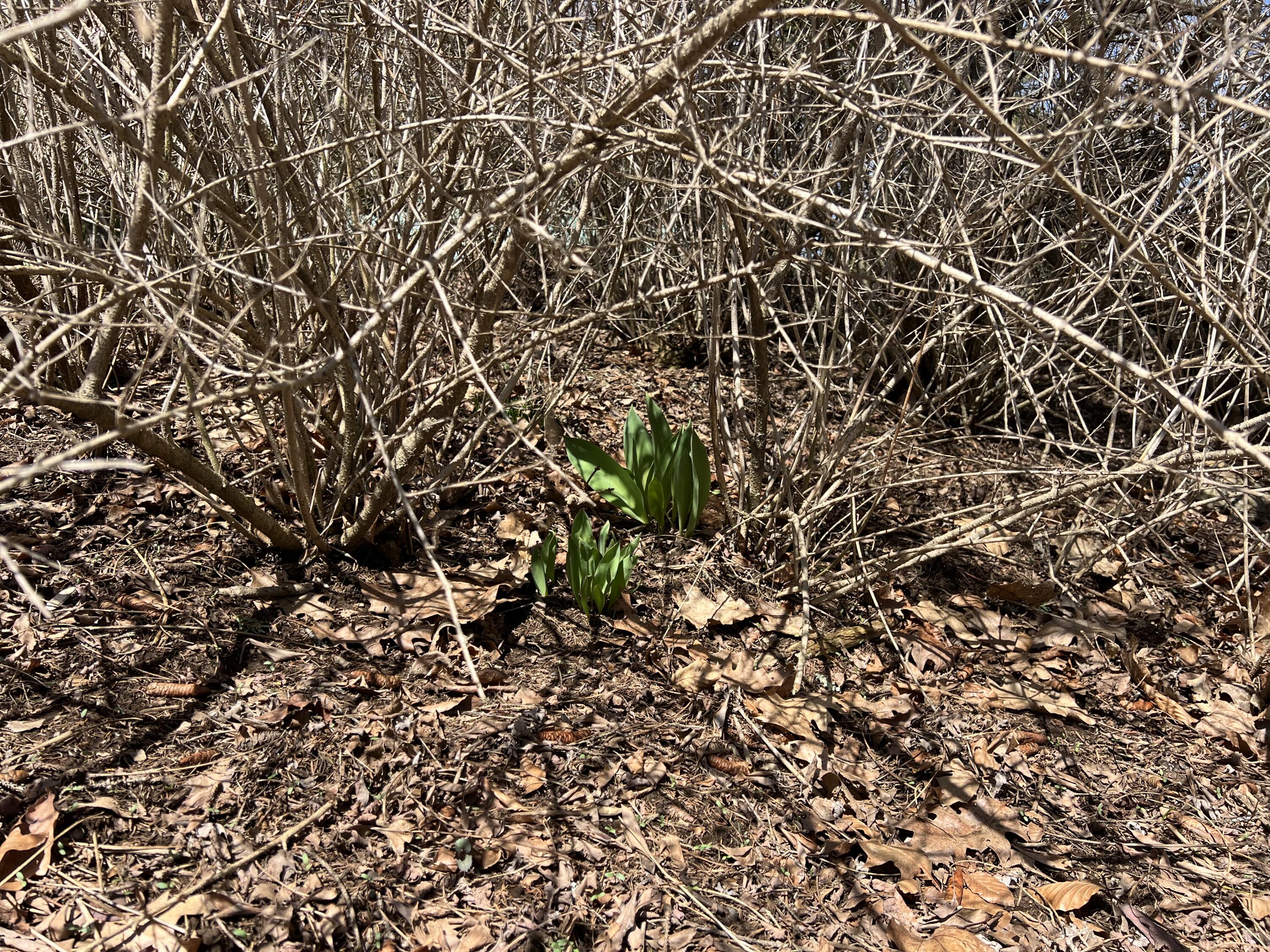 87 Monroe Highway Brooks ME 04921