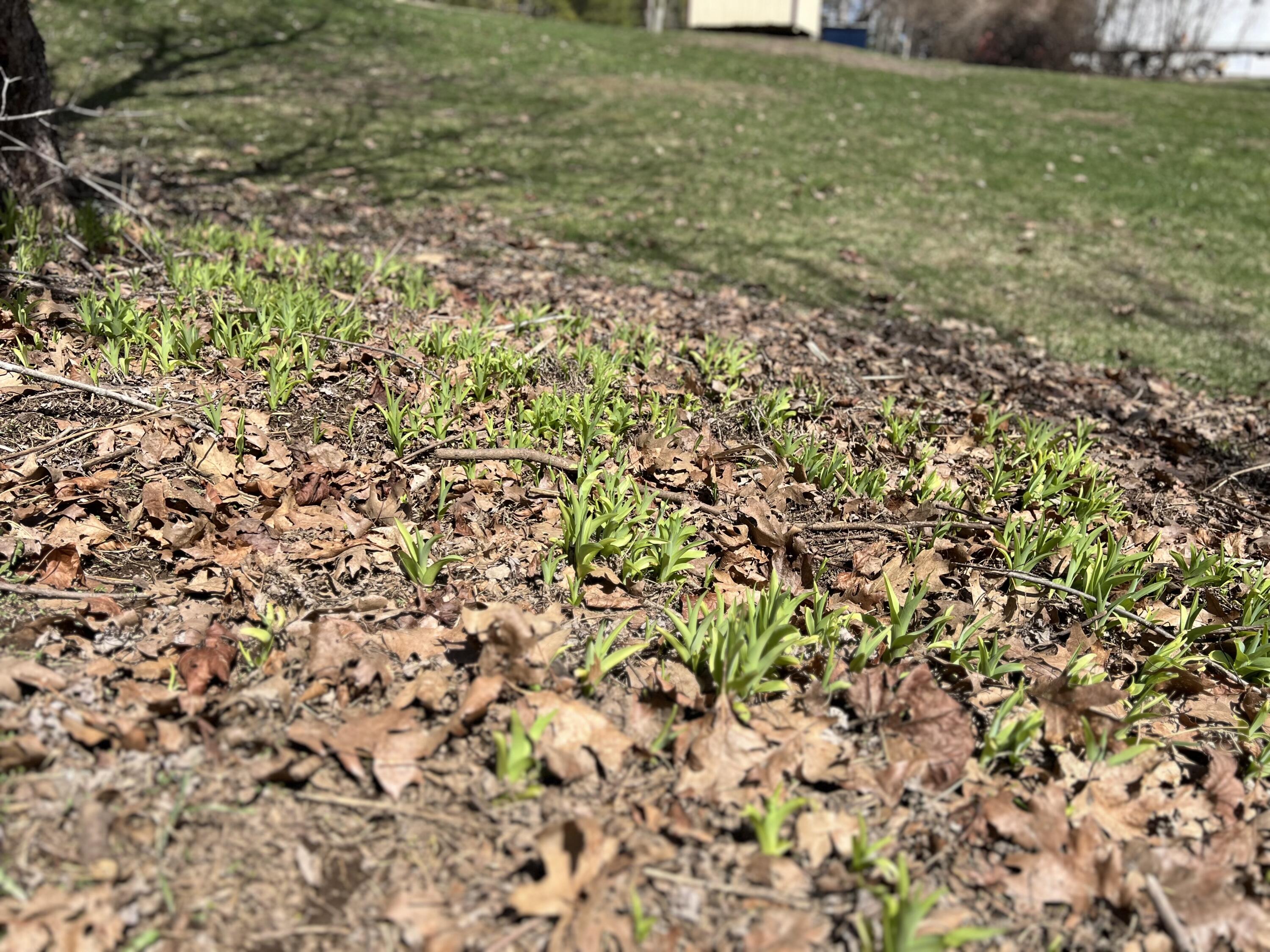 87 Monroe Highway Brooks ME 04921