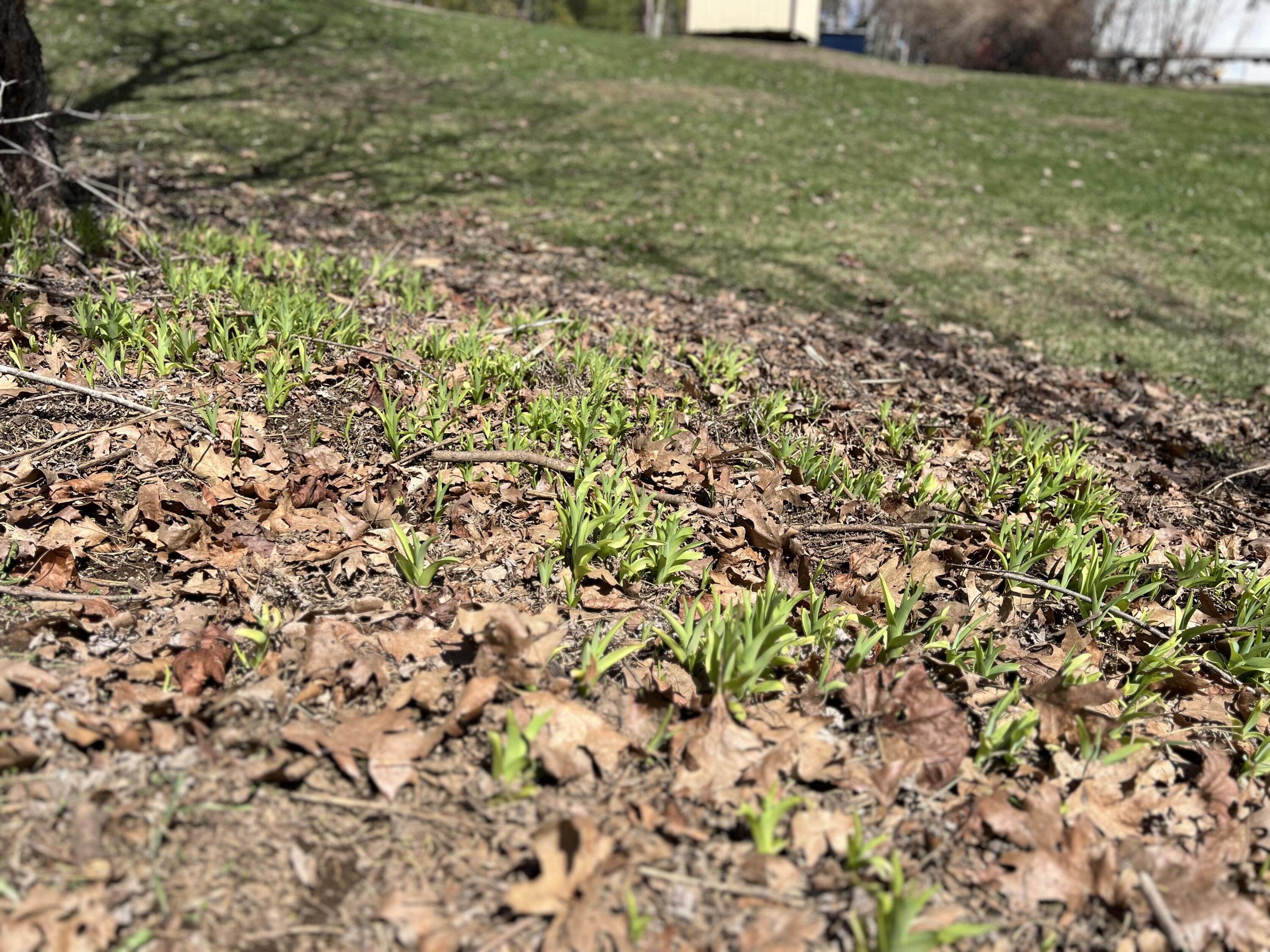 87 Monroe Highway Brooks ME 04921