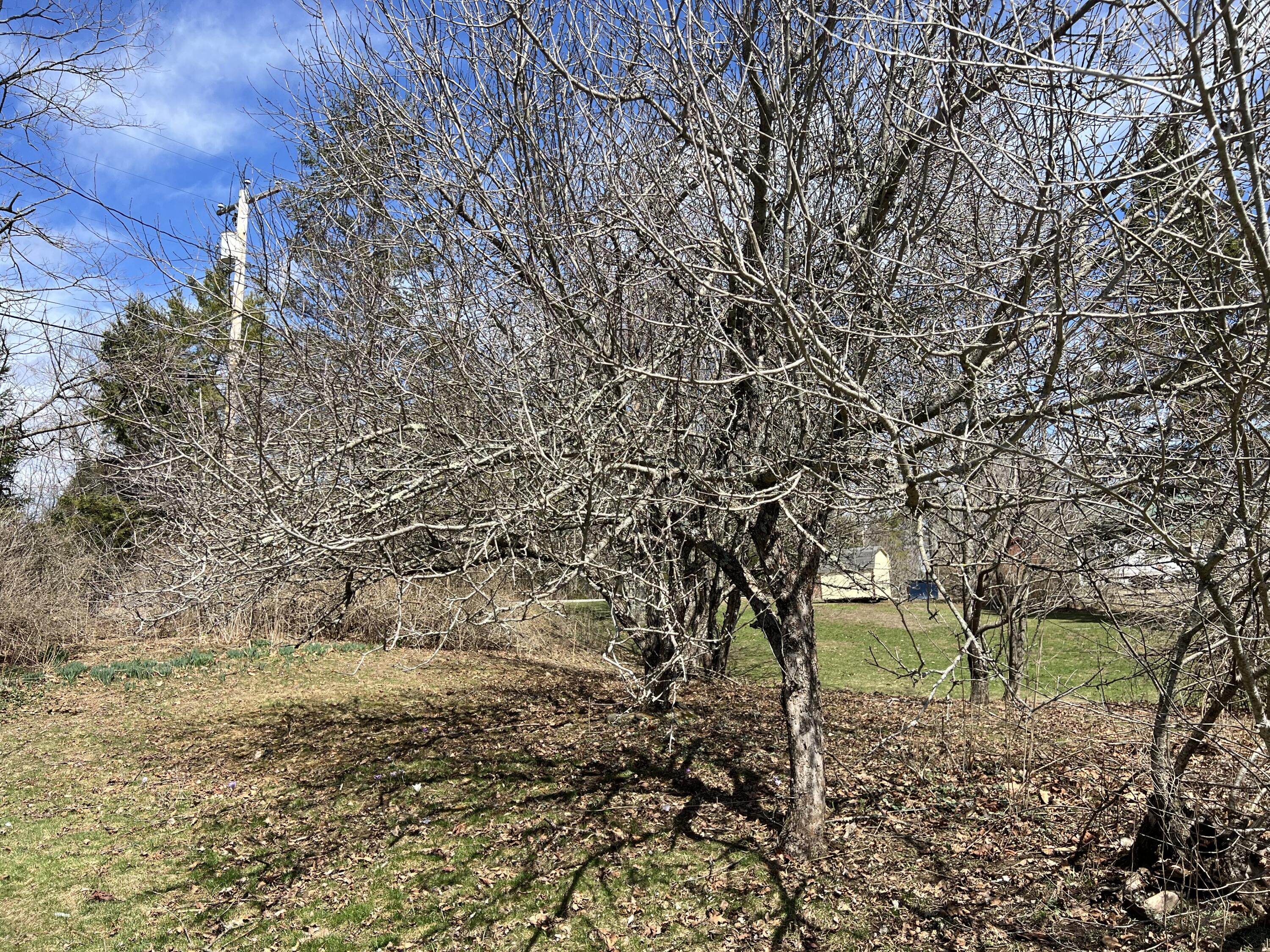 87 Monroe Highway Brooks ME 04921