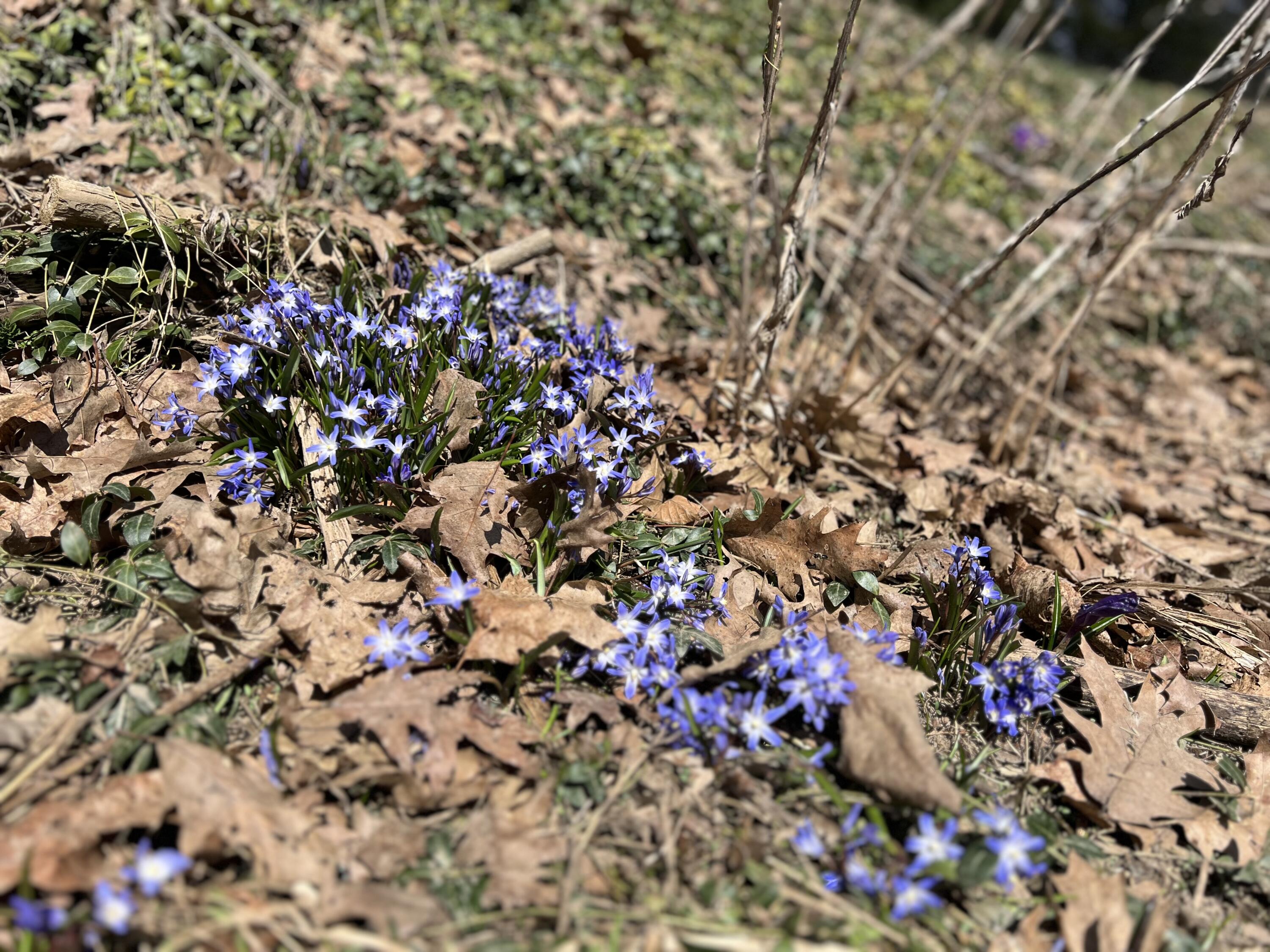 87 Monroe Highway Brooks ME 04921