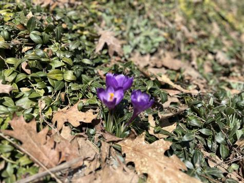 87 Monroe Highway Brooks ME 04921