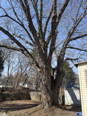 12 Edgemont Avenue Waterville ME 04901