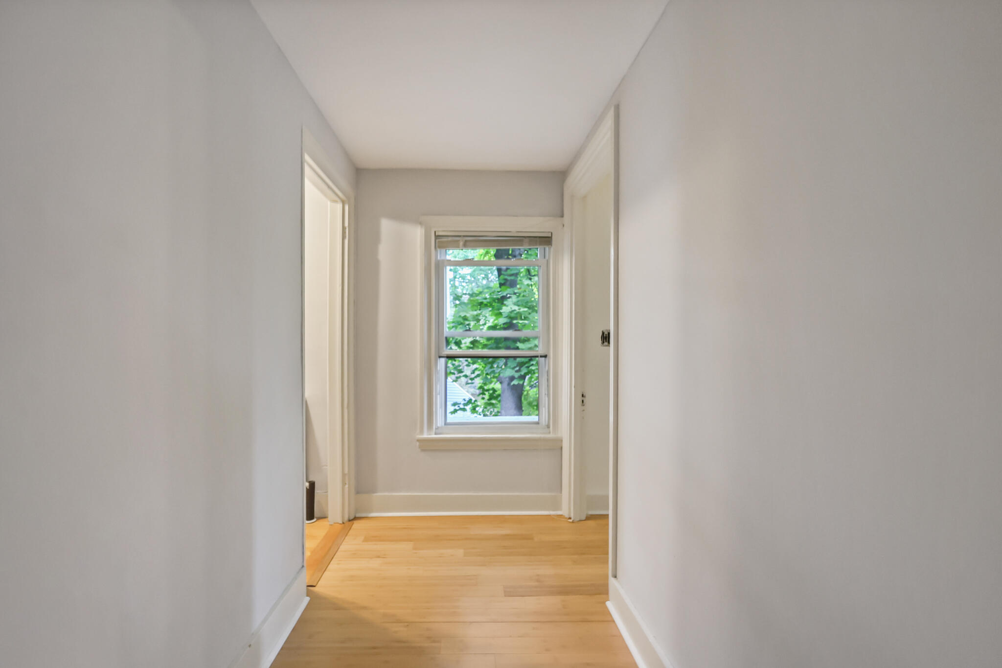 51 Grove Street Bangor ME 04401