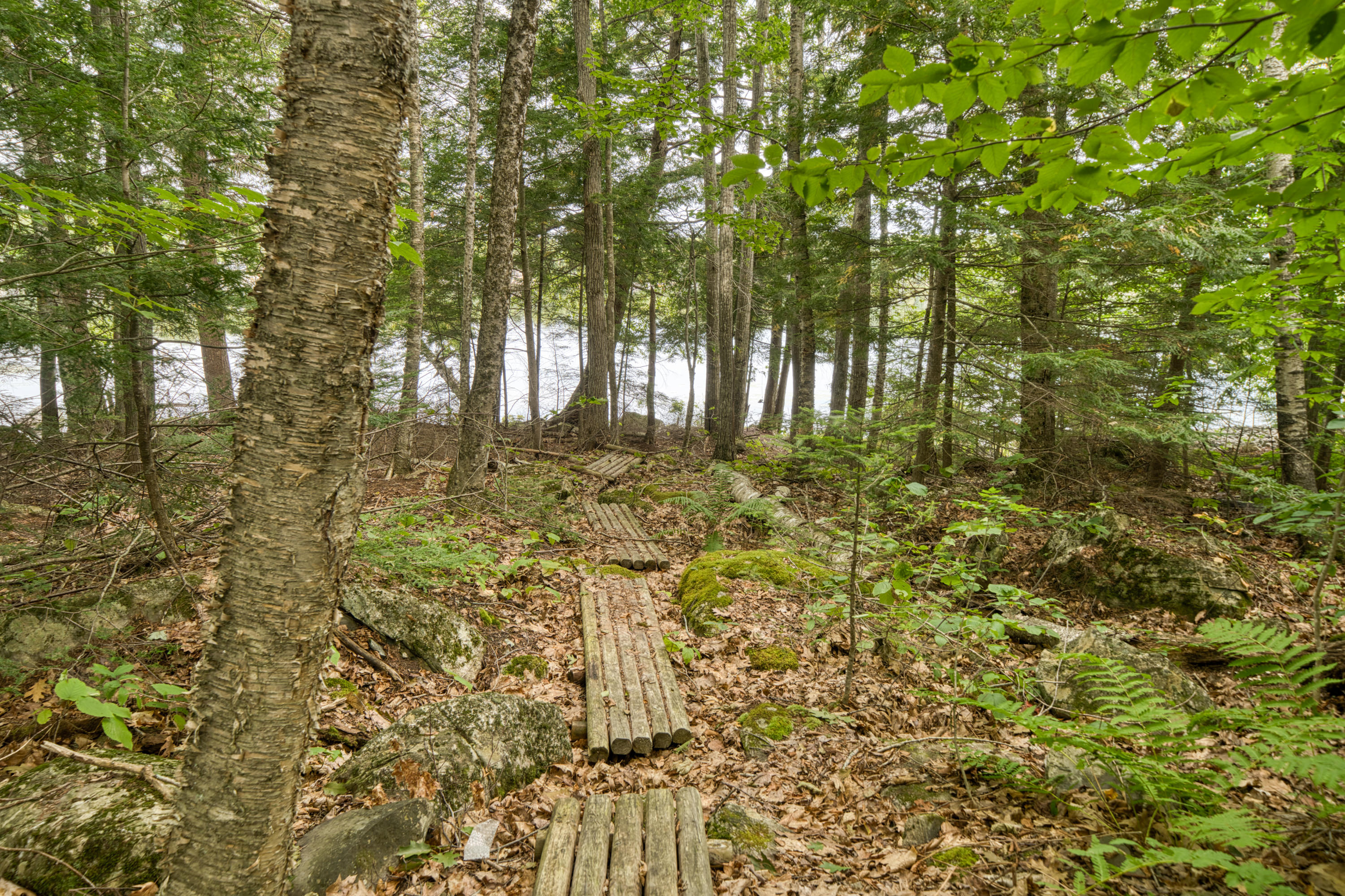 999 Brewer Lake Road Orrington ME 04474