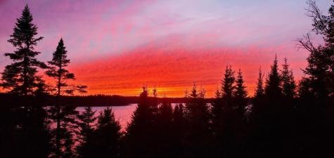 525 Yoho Head Road Machiasport ME 04655