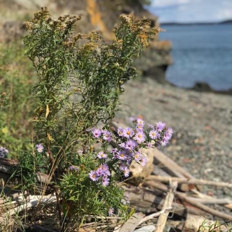 2 Pleasant Street Eastport ME 04631