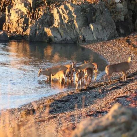 2 Pleasant Street Eastport ME 04631