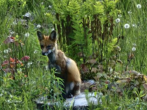 57 Farmview Lane Freeport ME 04032