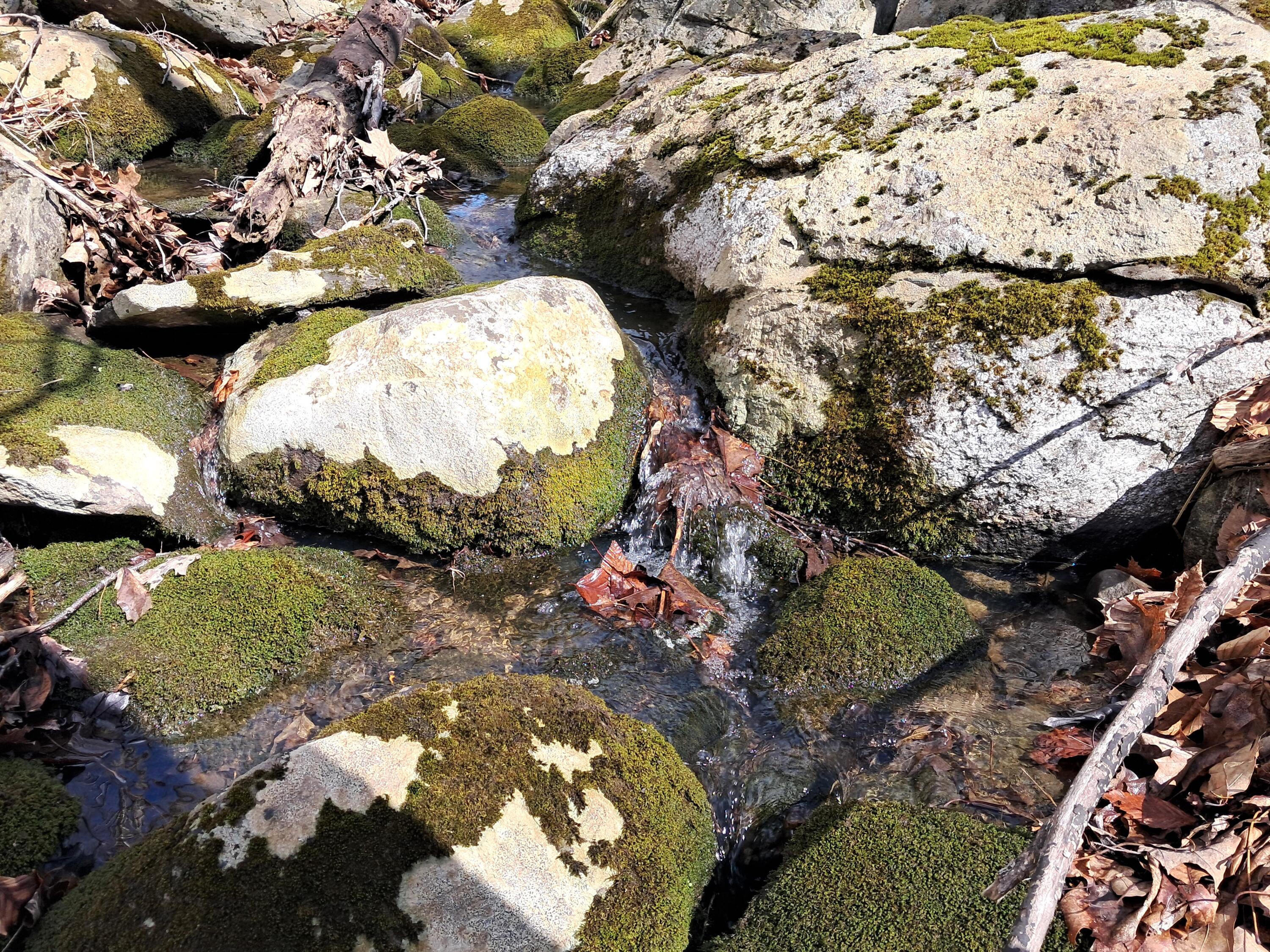 22 Mountainview Drive Winterport ME 04496