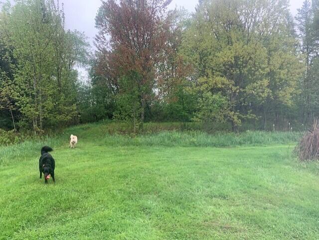 196 Lambert Road Brewer ME 04412