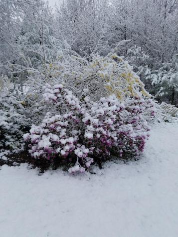 693 Goding Road Acton ME 04001