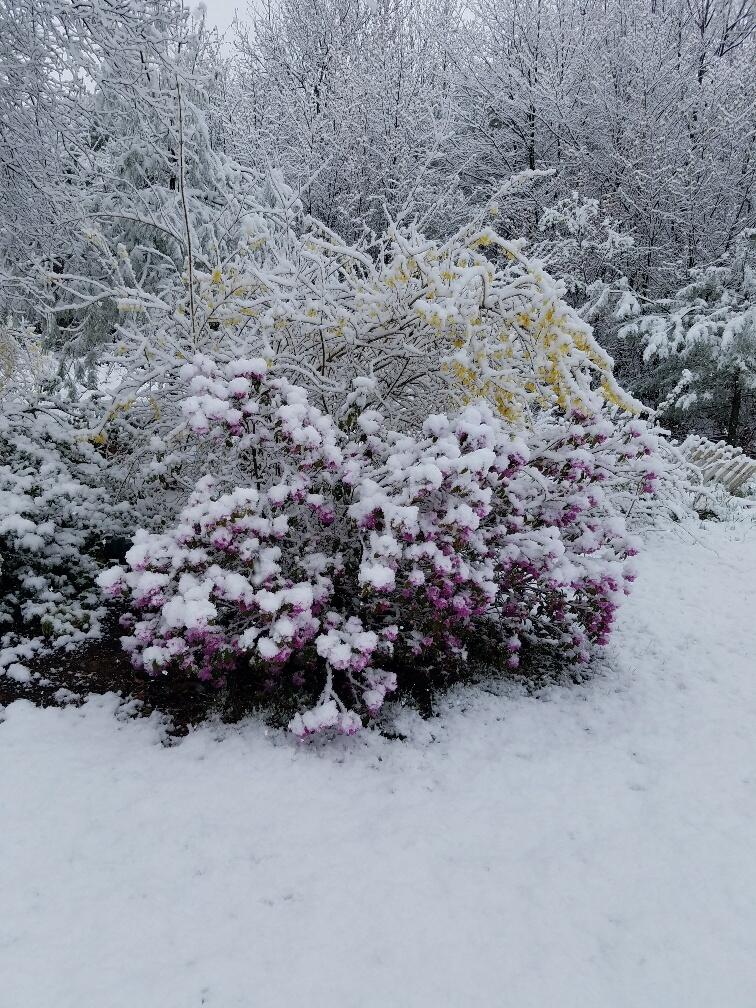 693 Goding Road Acton ME 04001