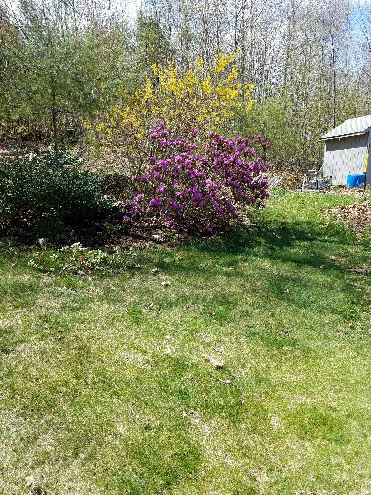 693 Goding Road Acton ME 04001