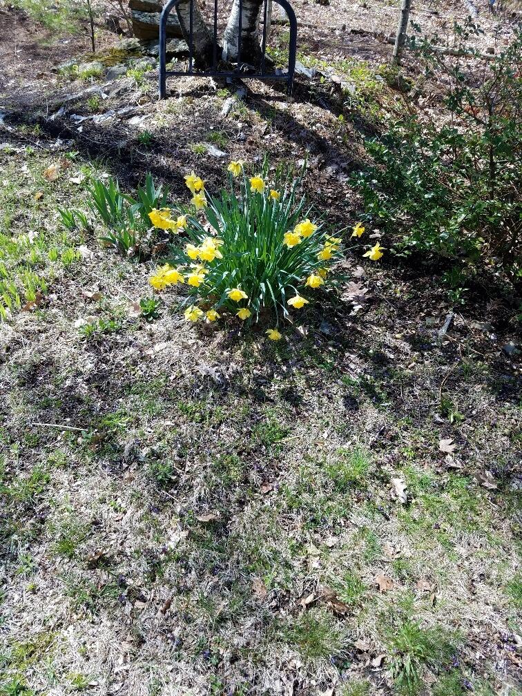 693 Goding Road Acton ME 04001