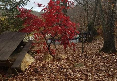 693 Goding Road Acton ME 04001