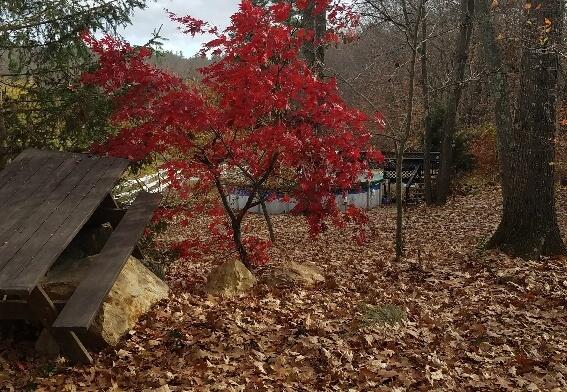 693 Goding Road Acton ME 04001