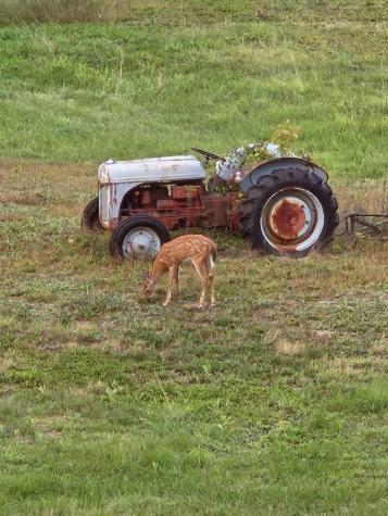 693 Goding Road Acton ME 04001