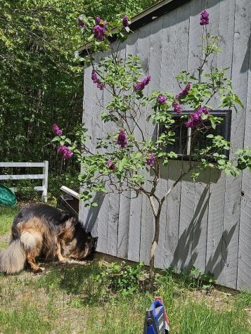 693 Goding Road Acton ME 04001