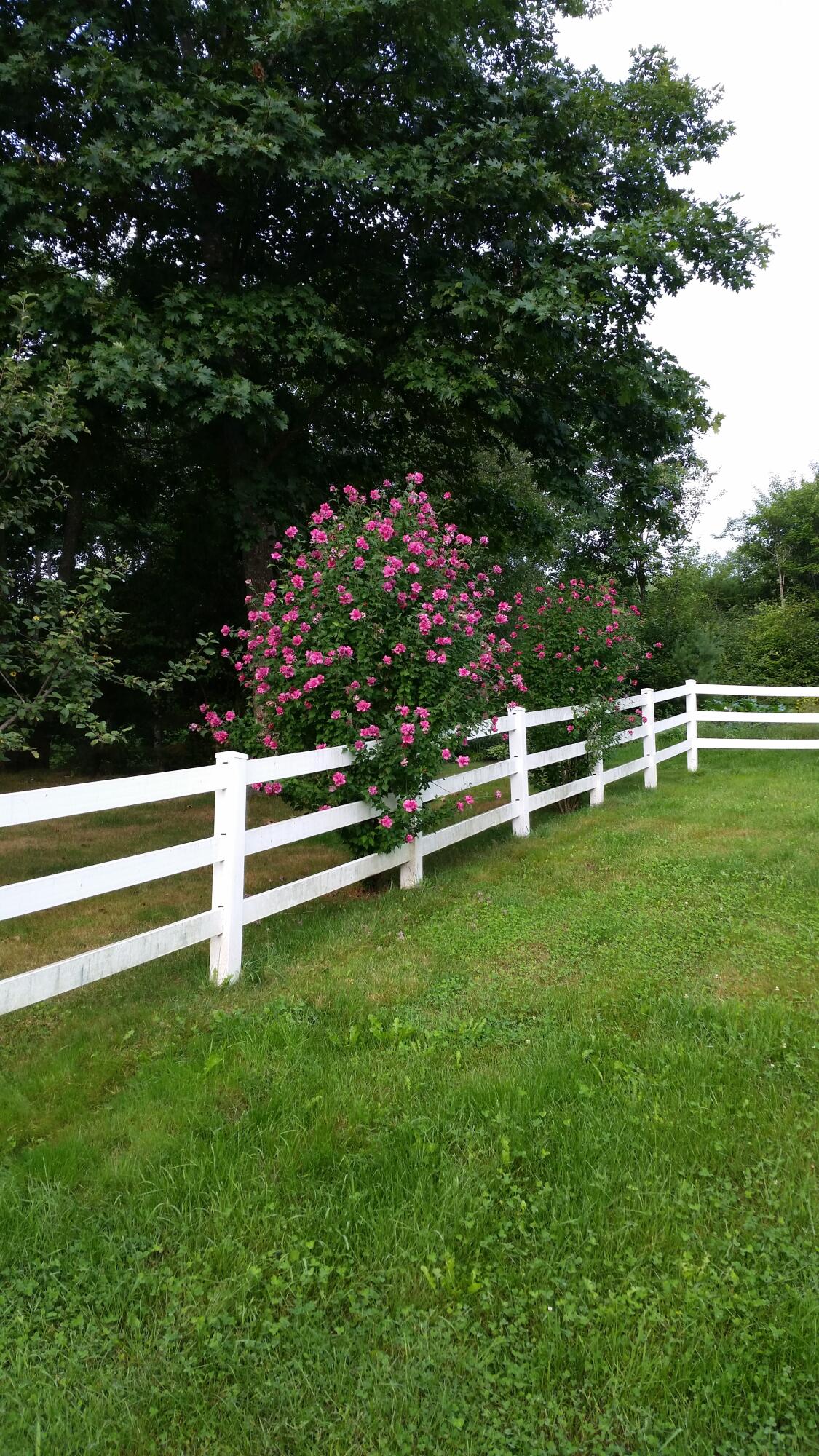 693 Goding Road Acton ME 04001