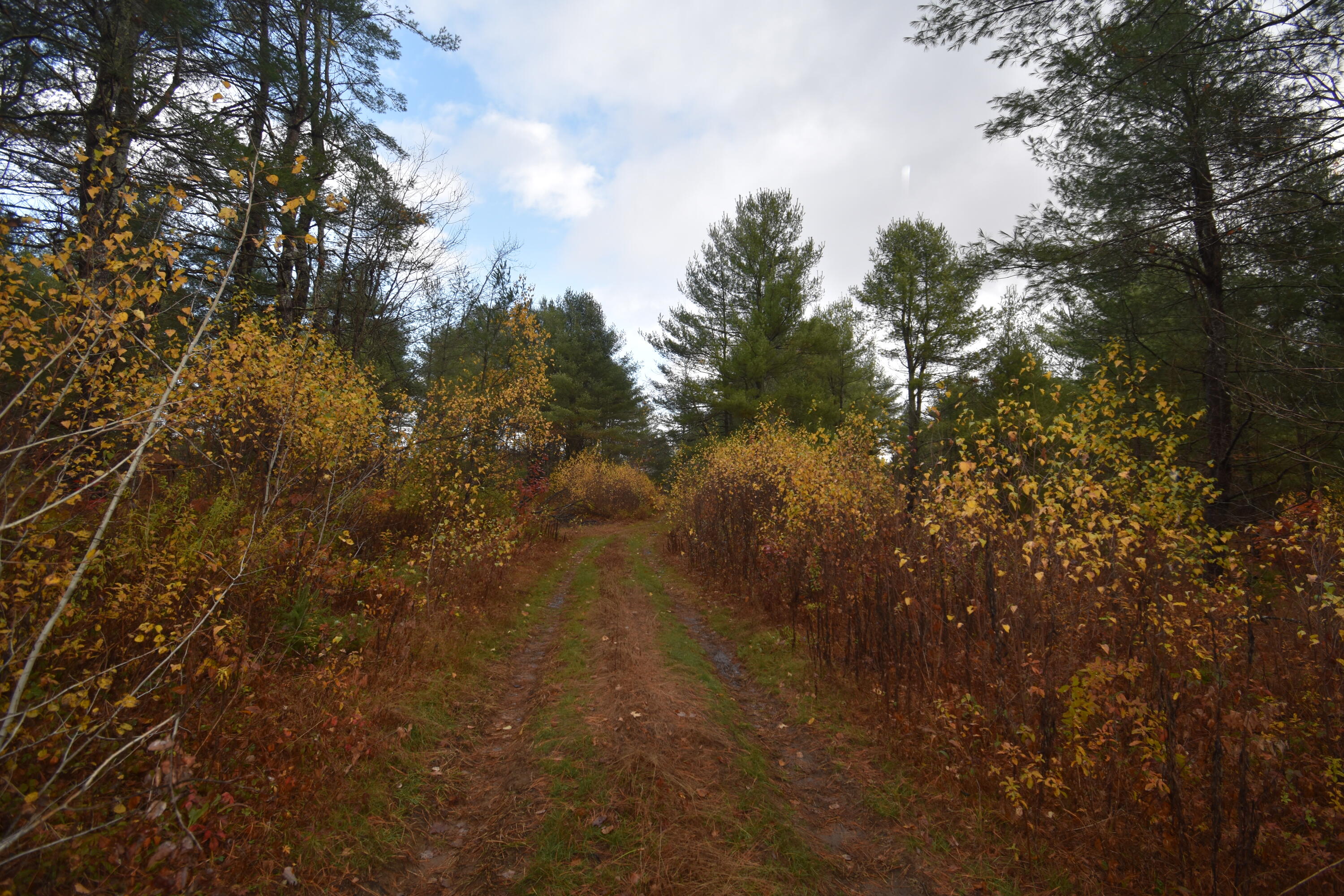P/o Lot 7 Old School House Road Norridgewock ME 04957