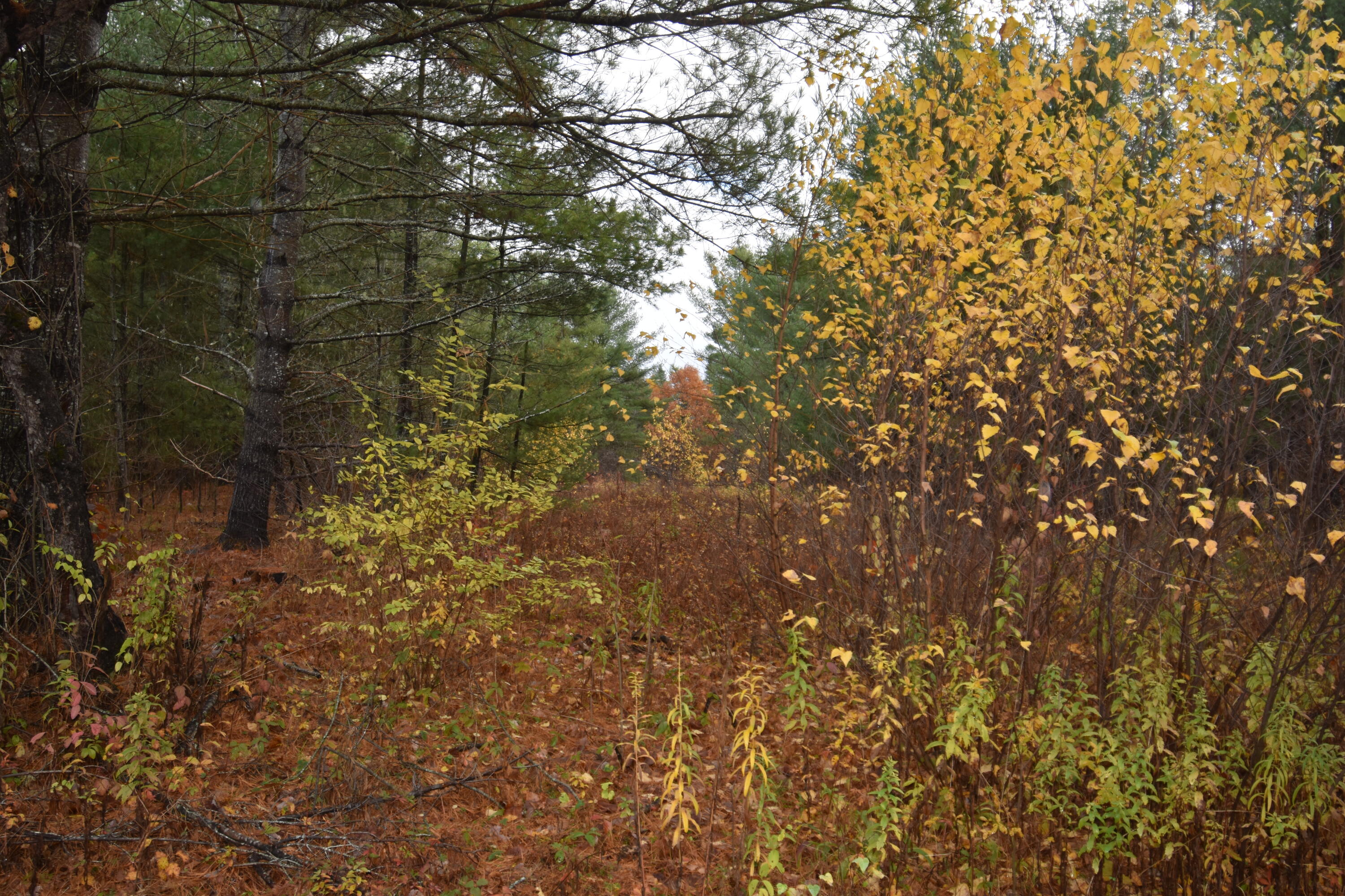 P/o Lot 7 Old School House Road Norridgewock ME 04957