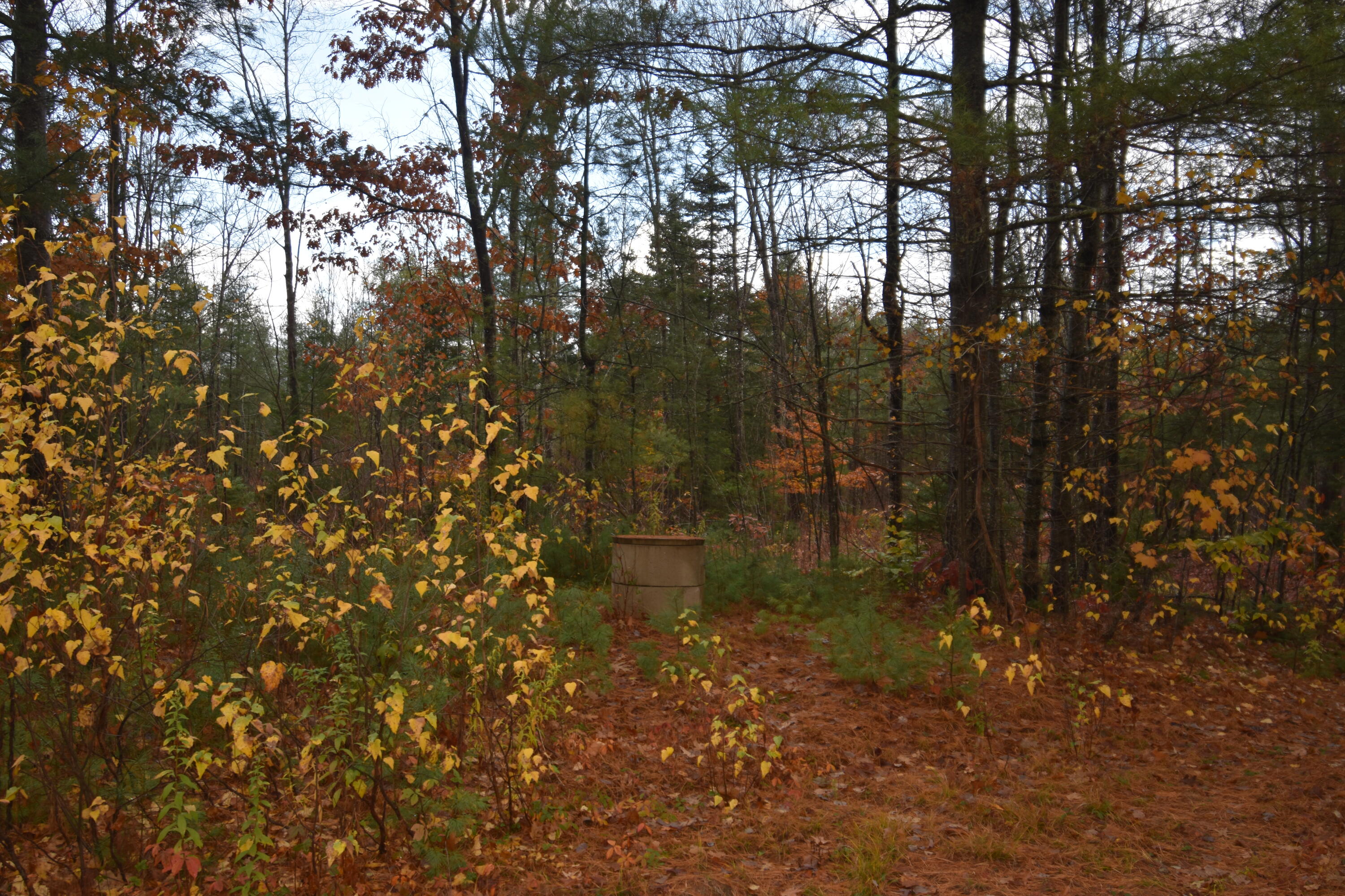 P/o Lot 7 Old School House Road Norridgewock ME 04957