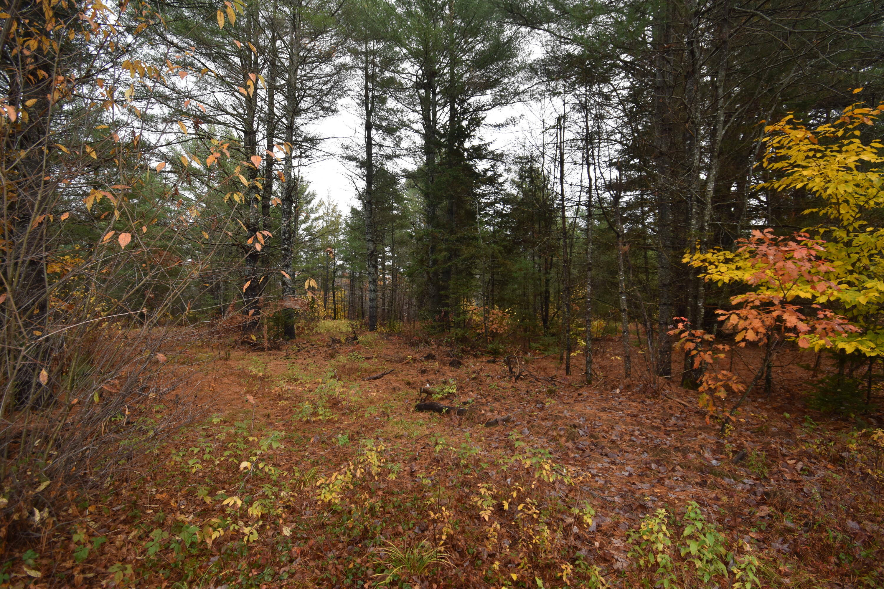 P/o Lot 7 Old School House Road Norridgewock ME 04957