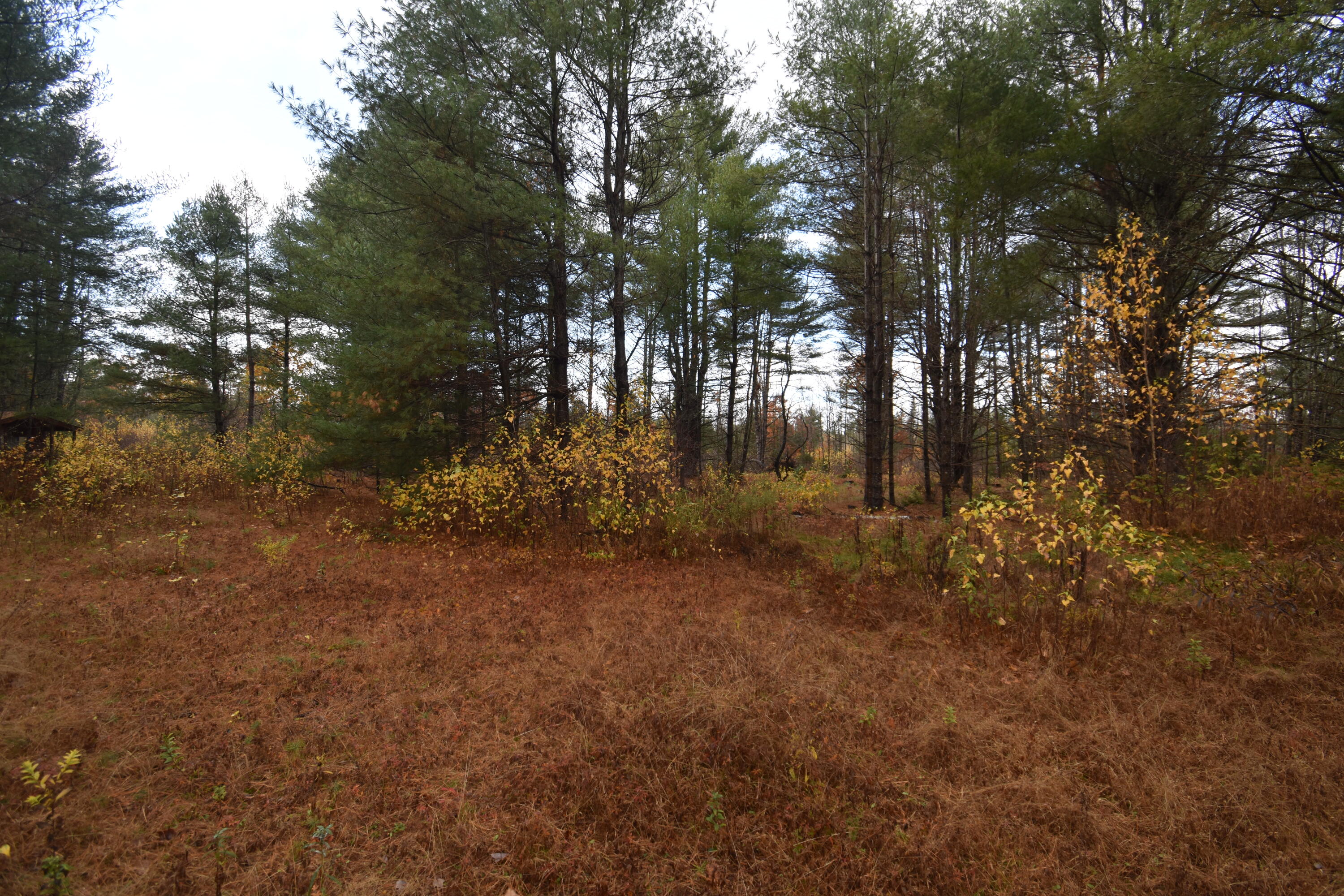 P/o Lot 7 Old School House Road Norridgewock ME 04957