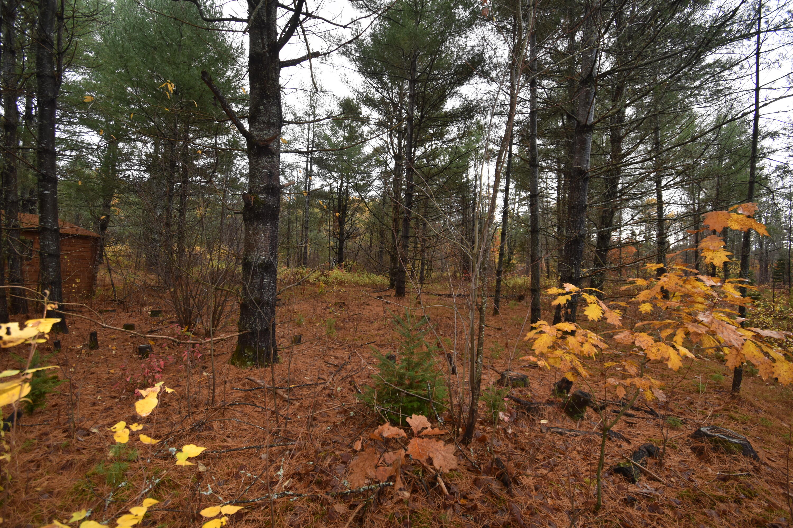 P/o Lot 7 Old School House Road Norridgewock ME 04957