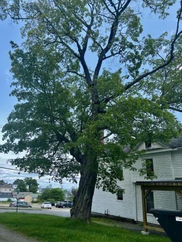 28 Washington Street Eastport ME 04631