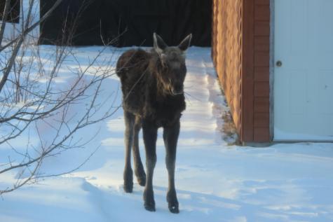 41 Jackson Brook Lane Monson ME 04464